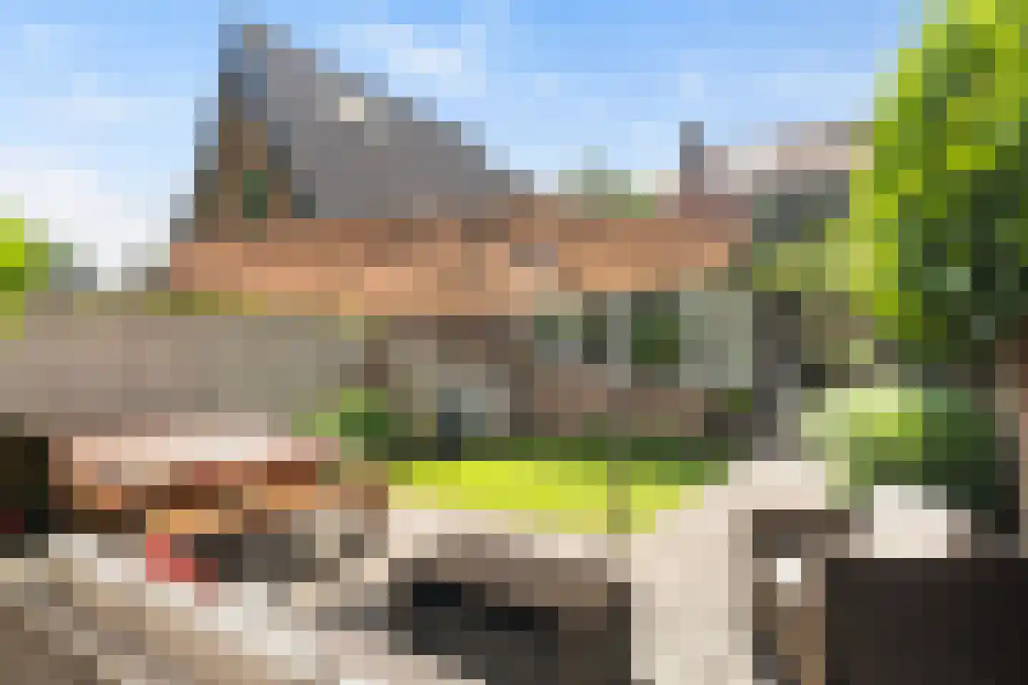 Arnhemseweg-Zuid 298 Amersfoort thumbnail 31