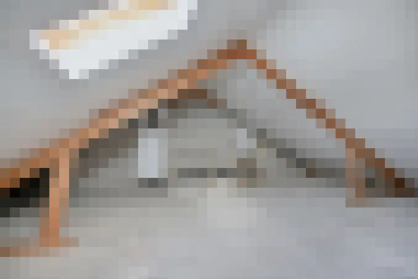 Arnhemstraat 21 's-Hertogenbosch thumbnail 24