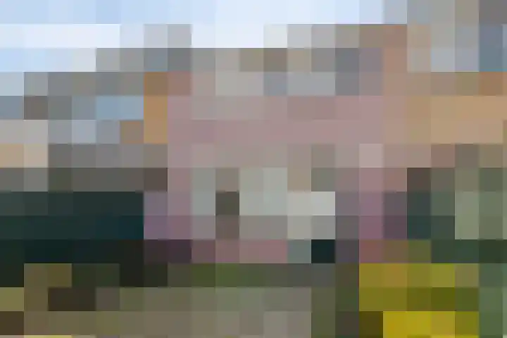 Arnhemstraat 5 's-Hertogenbosch thumbnail 23
