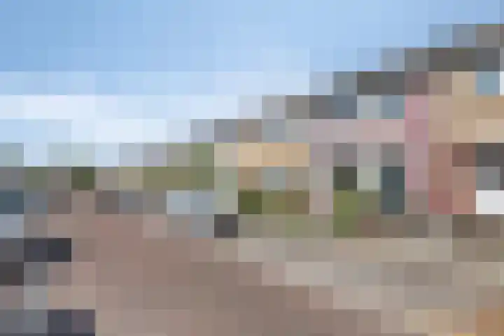 Arnhemstraat 5 's-Hertogenbosch thumbnail 29