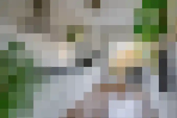 Arnodreef 128 Utrecht thumbnail 11