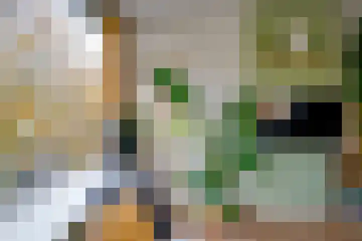 Arnodreef 128 Utrecht thumbnail 6