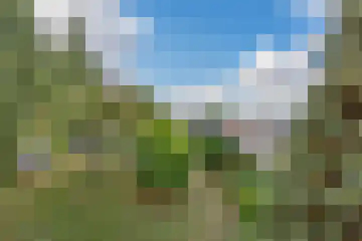 Arnodreef 19 Utrecht thumbnail 22