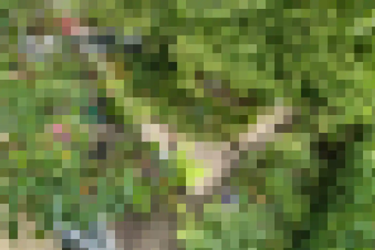 Arnodreef 24 Utrecht thumbnail 19