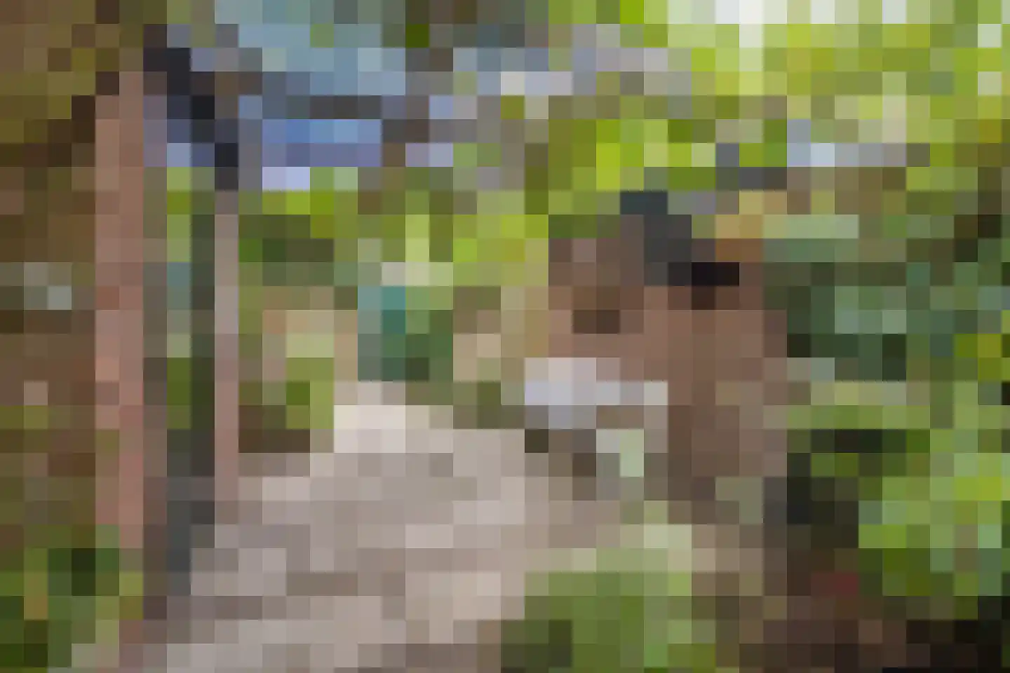 Arnodreef 24 Utrecht thumbnail 22
