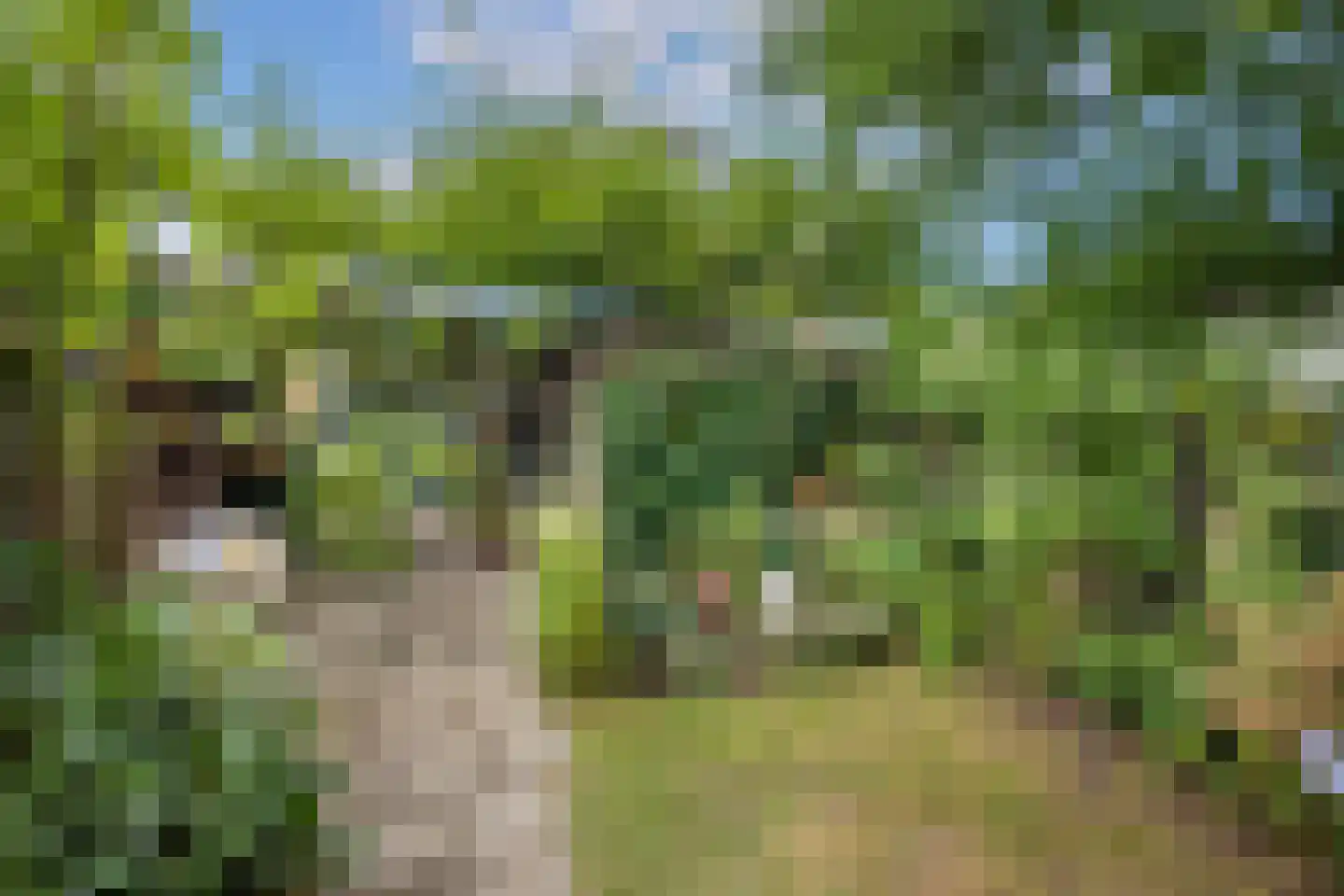 Arnodreef 24 Utrecht thumbnail 24
