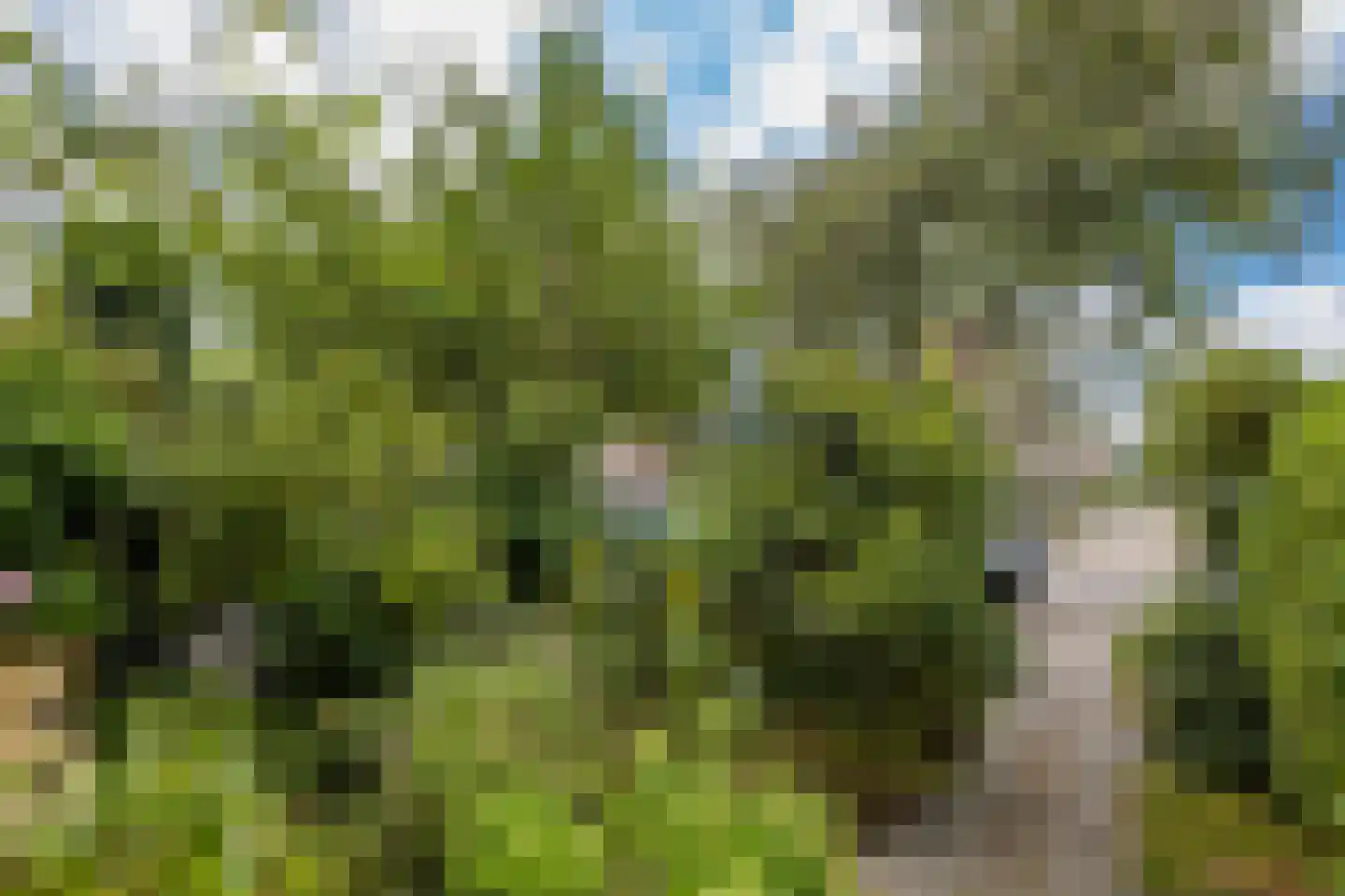 Arnodreef 24 Utrecht thumbnail 5