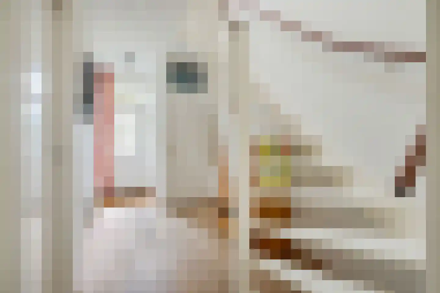 Arnodreef 24 Utrecht thumbnail 6