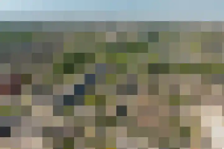 Arnodreef 27 Utrecht thumbnail 25