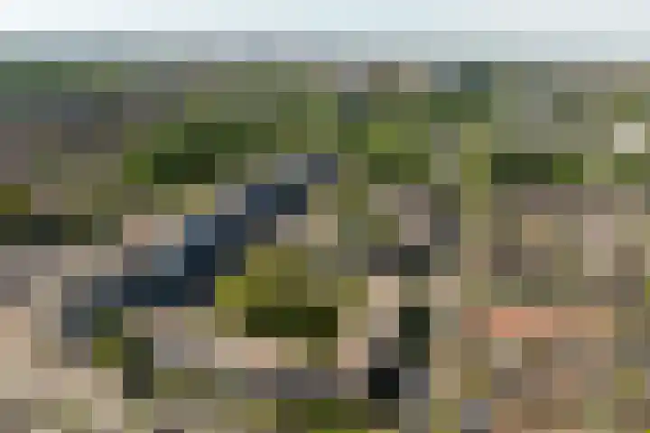Arnodreef 27 Utrecht thumbnail 27