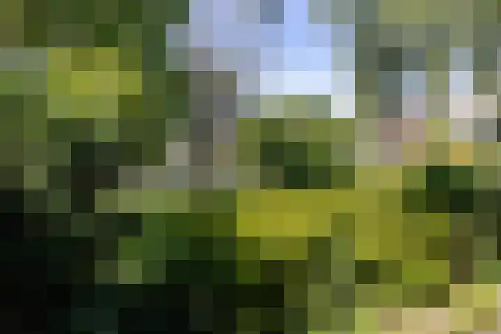 Arnodreef 27 Utrecht thumbnail 30
