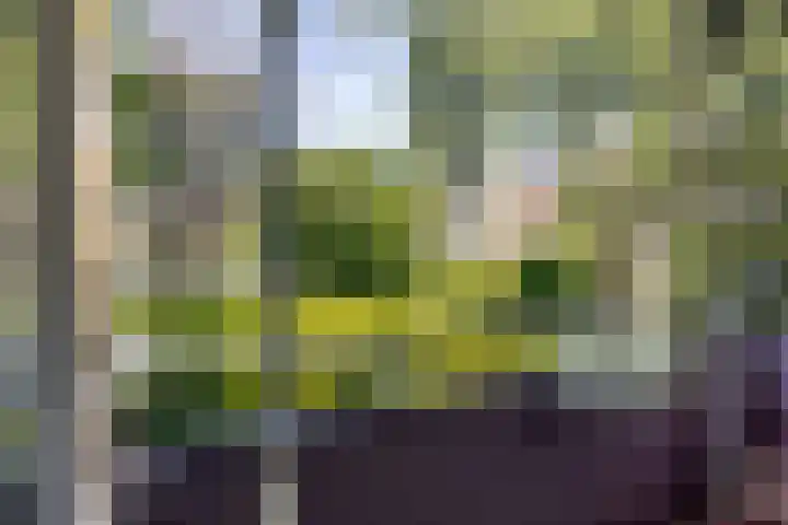 Arnodreef 27 Utrecht thumbnail 6