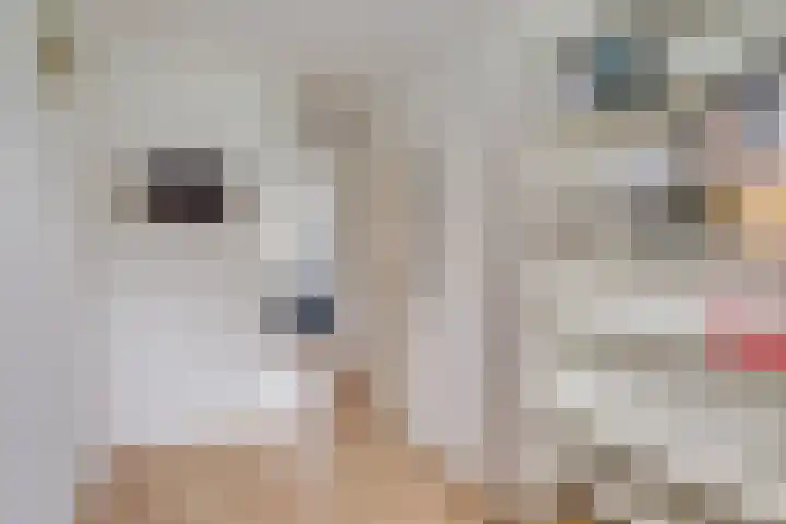 Arnodreef 33 Utrecht thumbnail 21