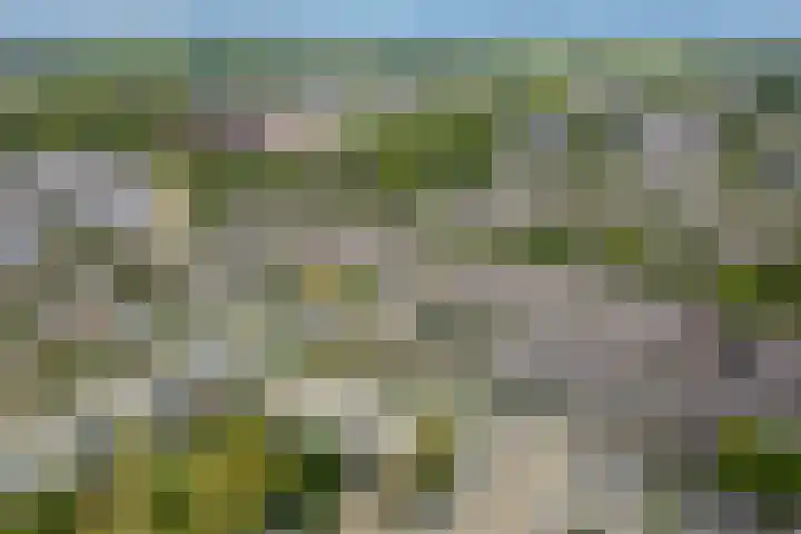 Arnodreef 33 Utrecht thumbnail 27