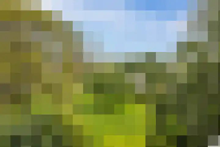 Arnodreef 33 Utrecht thumbnail 8