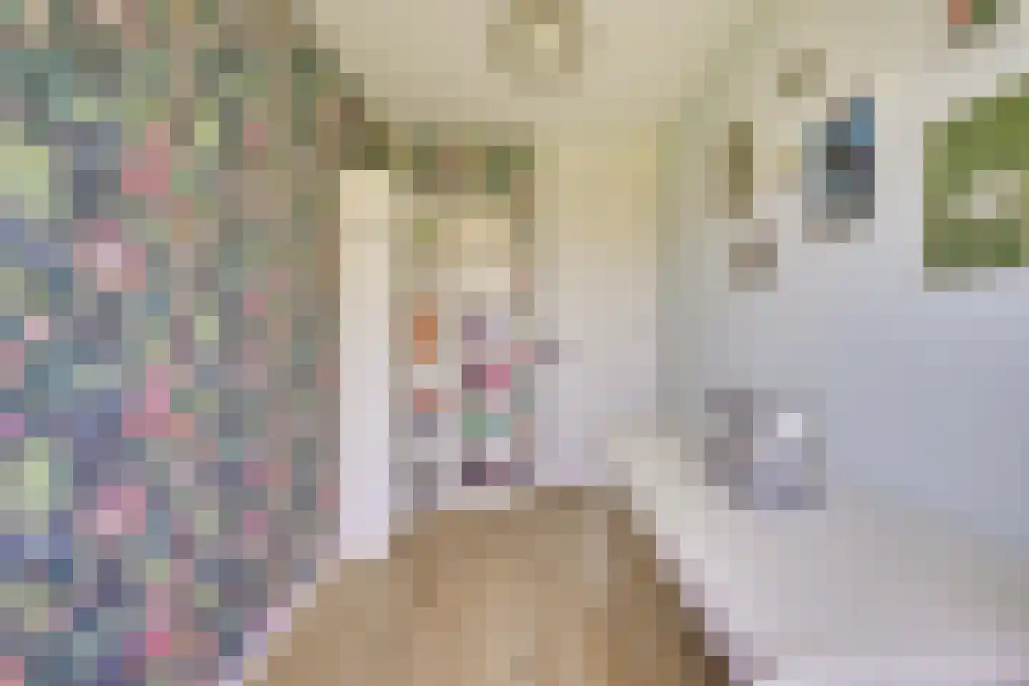 Arnodreef 35 Utrecht thumbnail 23