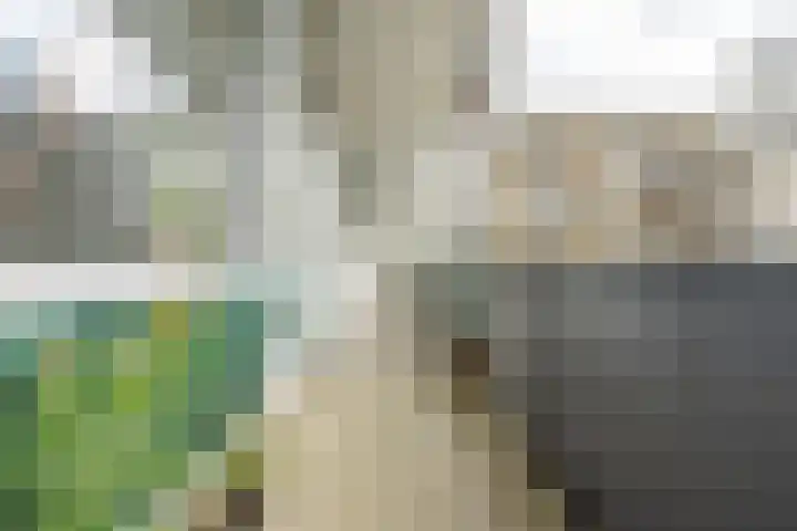 Arnodreef 45 Utrecht thumbnail 15