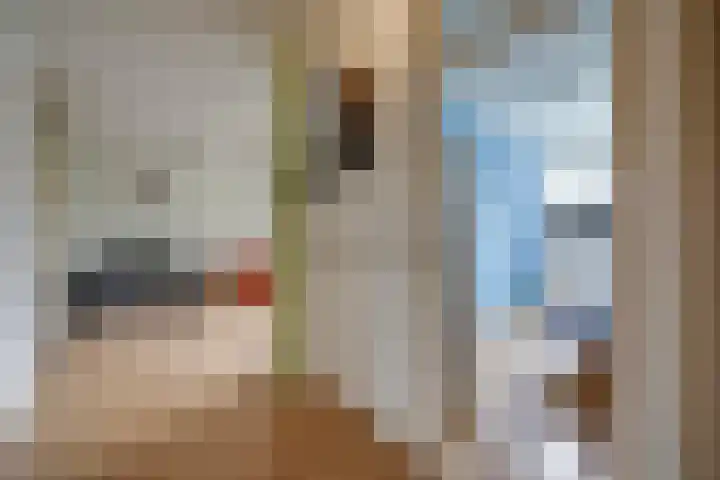 Arnodreef 45 Utrecht thumbnail 20