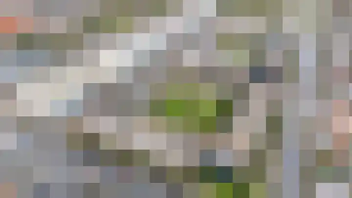 Arnodreef 45 Utrecht thumbnail 36