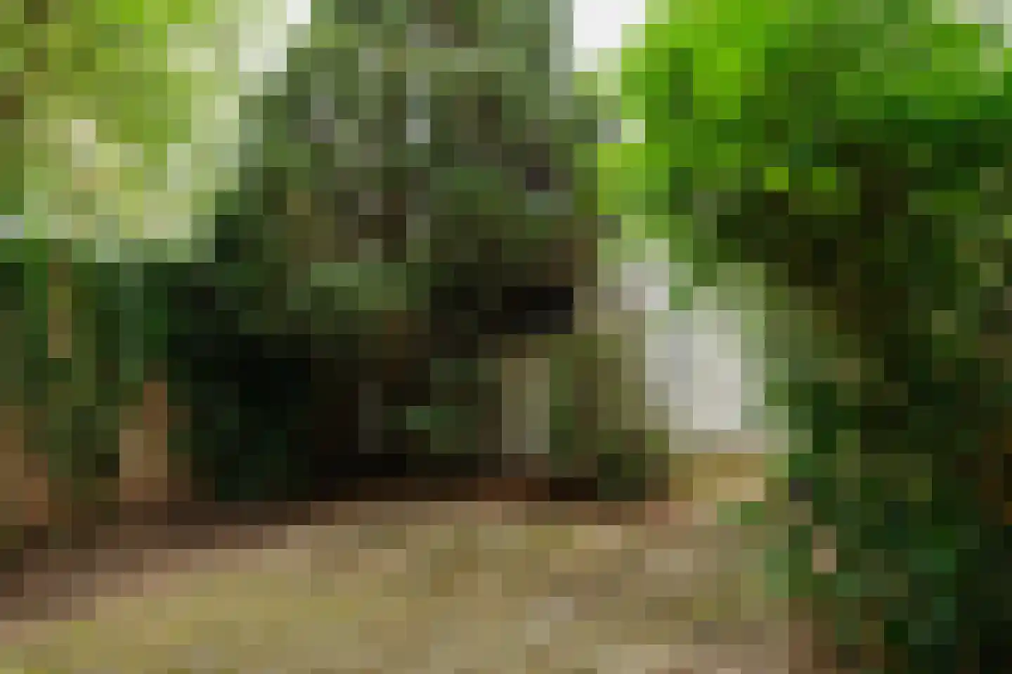 Arnodreef 6 Utrecht thumbnail 7