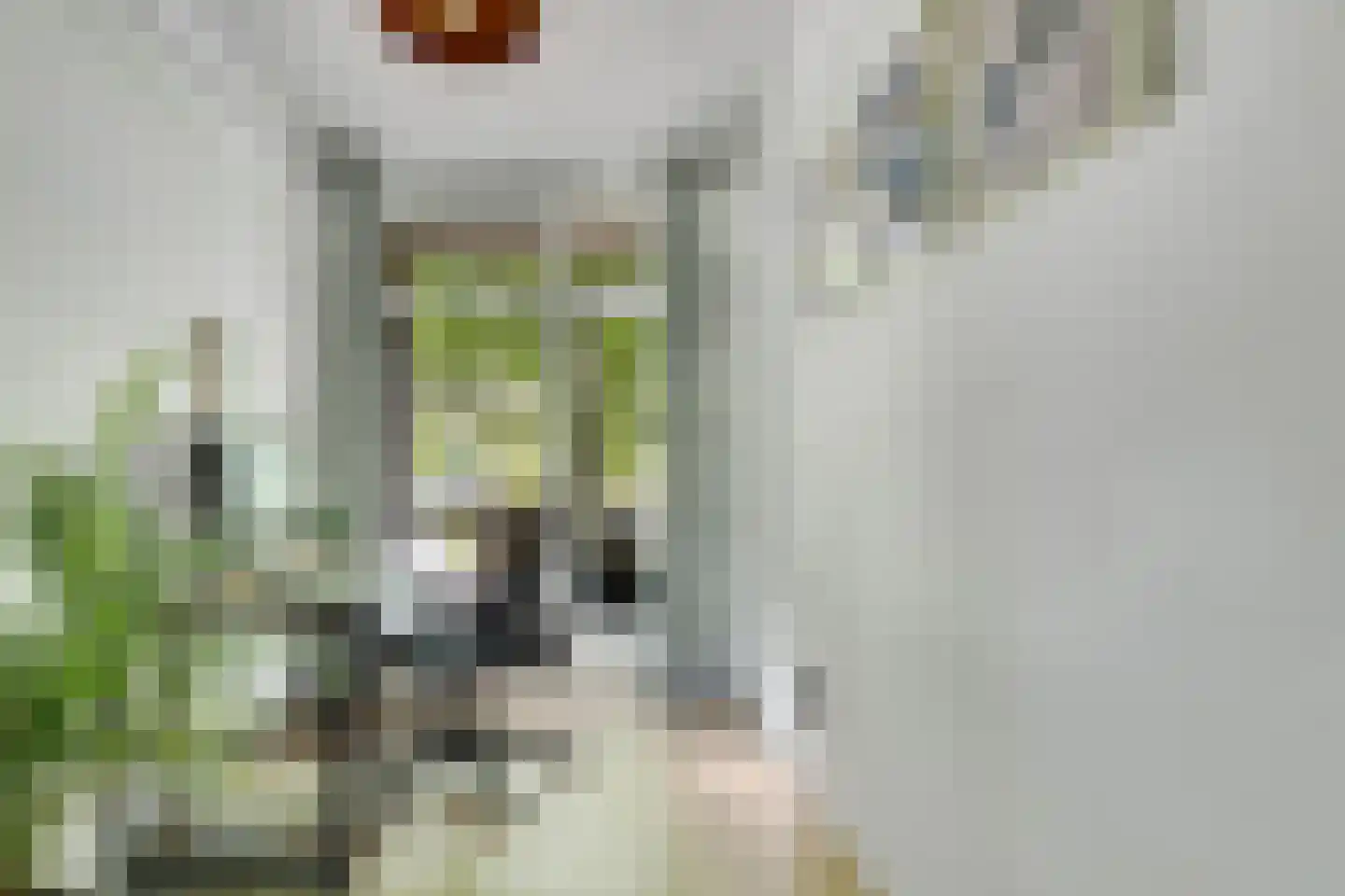Arnodreef 74 Utrecht thumbnail 23