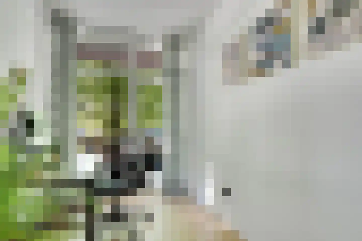 Arnodreef 74 Utrecht thumbnail 24