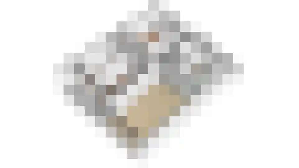 Arnodreef 74 Utrecht thumbnail 36