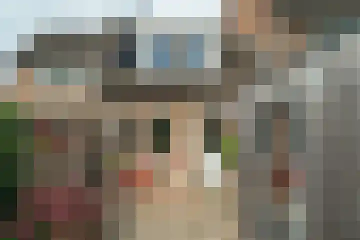 Arnold Feystraat 16 Leeuwarden thumbnail 18