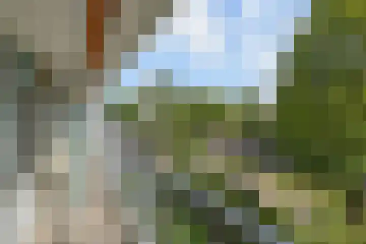 Arnold Spoelplein 32 Den Haag thumbnail 12