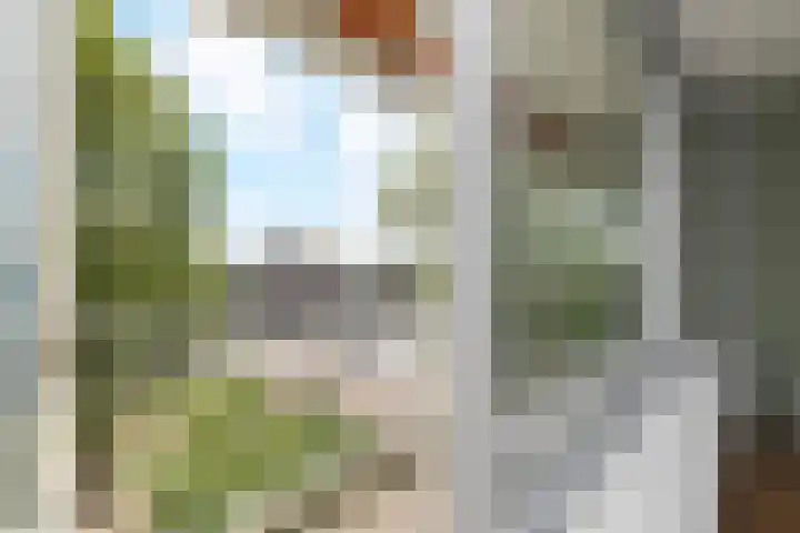 Arnold Spoelplein 32 Den Haag thumbnail 14