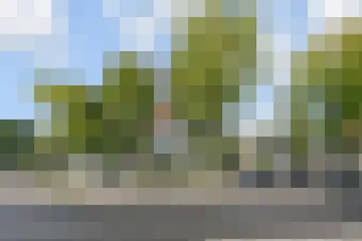 Arnold Spoelplein 32 Den Haag thumbnail 22