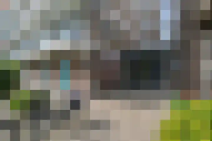Arnold Spoelplein 32 Den Haag thumbnail 5