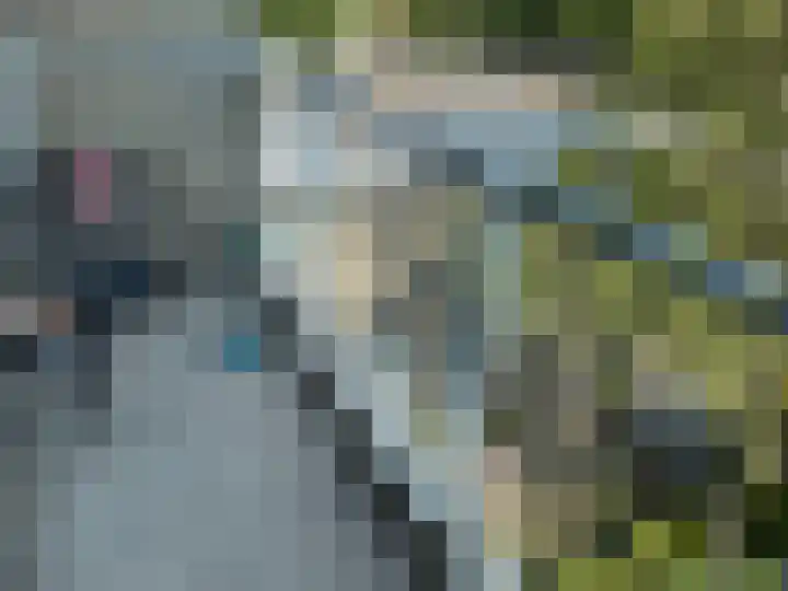 Arnold Spoelplein 36 Den Haag thumbnail 6