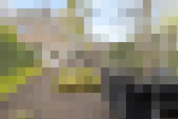 Arnold van Leuvenstraat 1 A Teteringen thumbnail 44