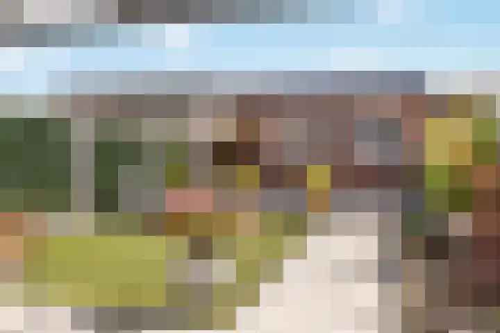 Arnold van Leuvenstraat 12 Teteringen thumbnail 47