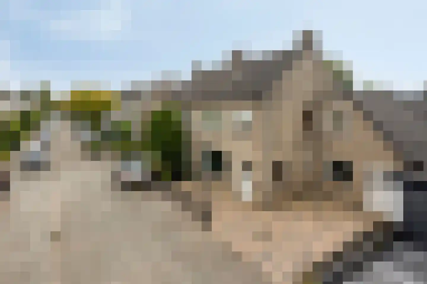 Arnold van Leuvenstraat 2 A Teteringen thumbnail 39
