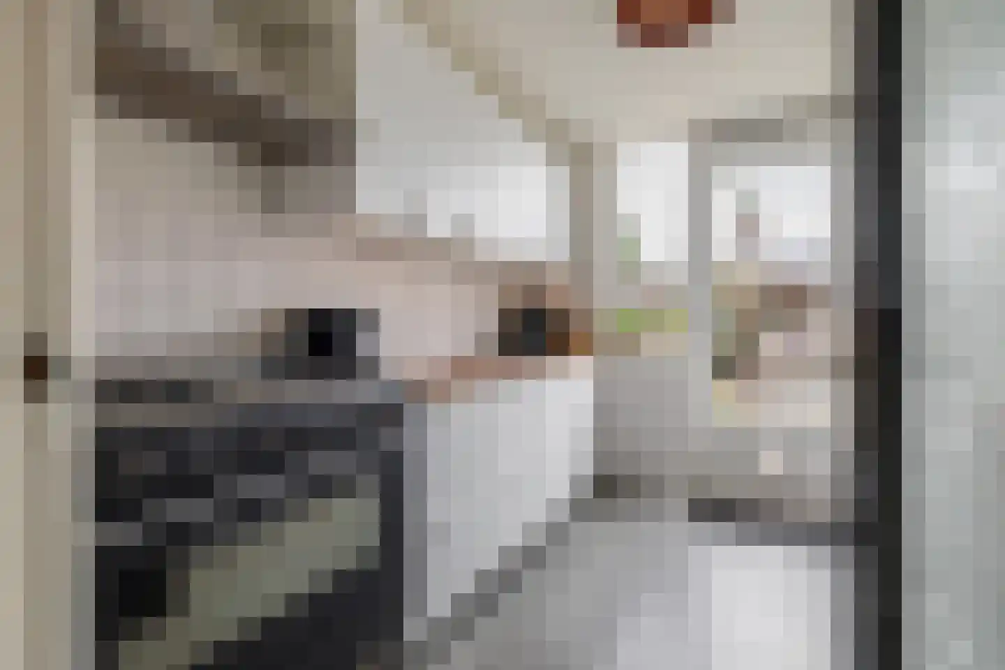 Arnold van Leuvenstraat 7 Teteringen thumbnail 15