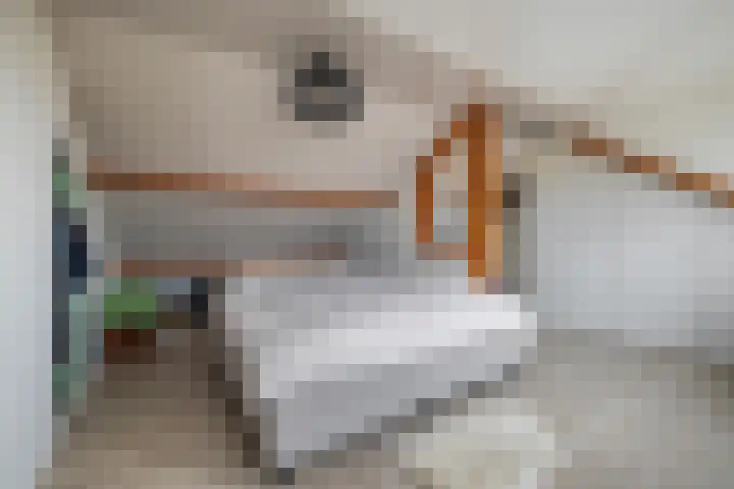 Arnold van Leuvenstraat 7 Teteringen thumbnail 30
