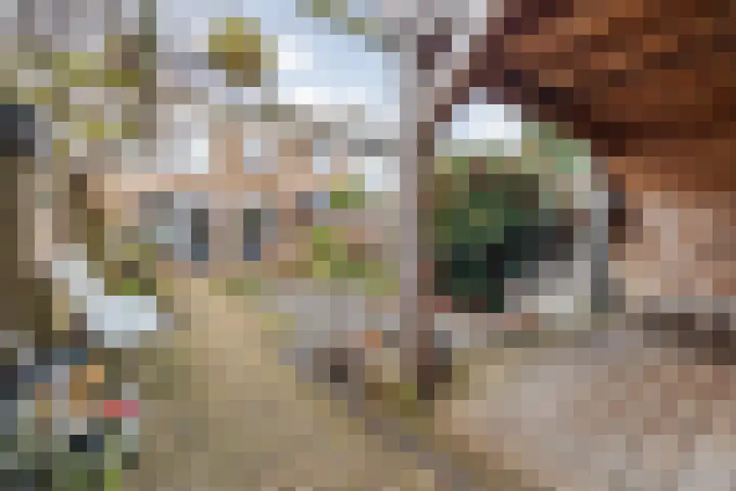 Arnold van Leuvenstraat 7 Teteringen thumbnail 36