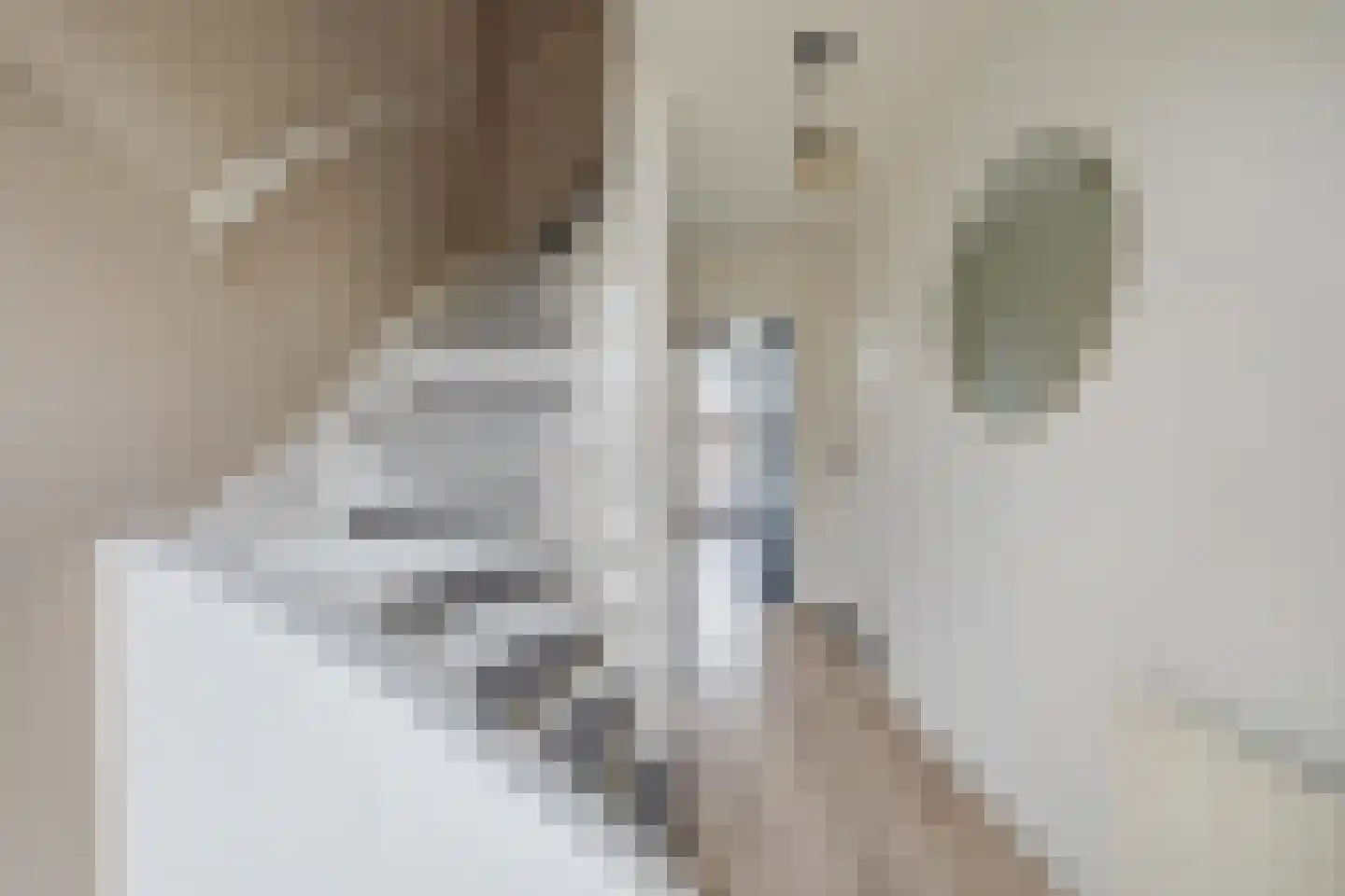 Arnold van Leuvenstraat 7 Teteringen thumbnail 7