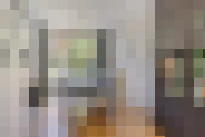 Arnold van Lieropstraat 15 Steenbergen thumbnail 15