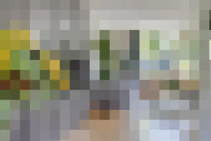 Arnold van Lieropstraat 15 Steenbergen thumbnail 16