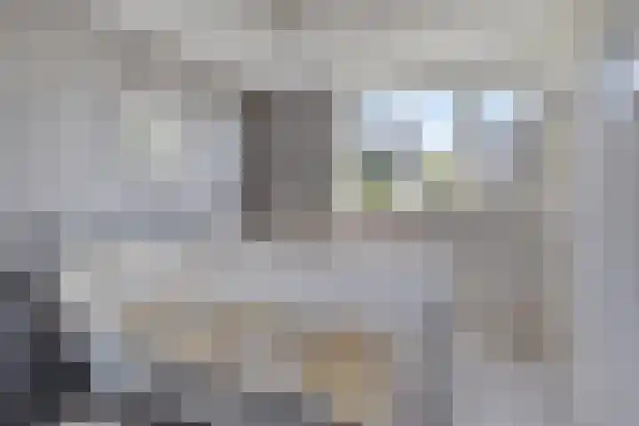 Arnold van Lieropstraat 15 Steenbergen thumbnail 23