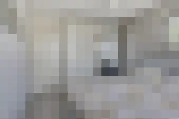 Arnold van Lieropstraat 15 Steenbergen thumbnail 24