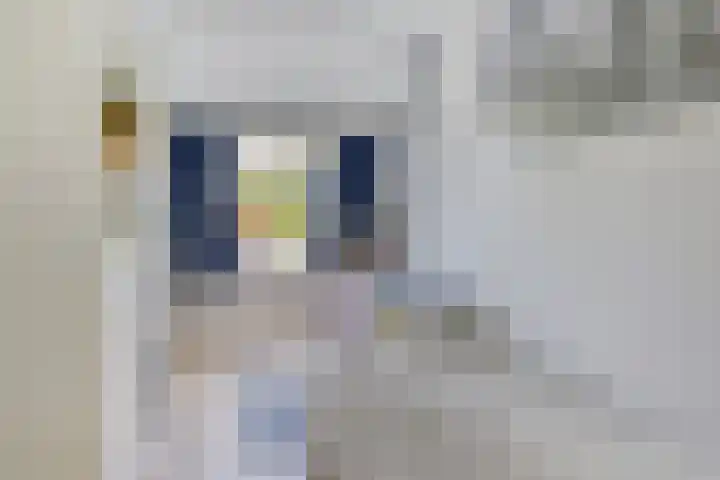 Arnold van Lieropstraat 15 Steenbergen thumbnail 25