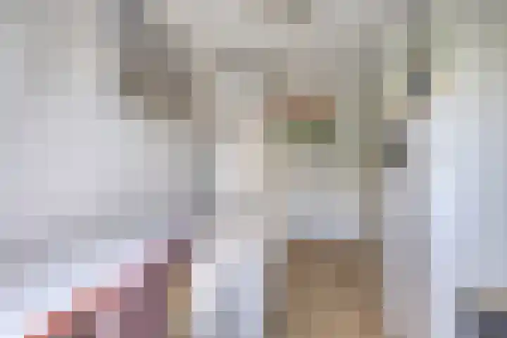 Arnold van Lieropstraat 15 Steenbergen thumbnail 26