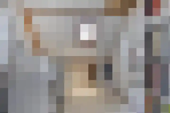 Arnold van Lieropstraat 15 Steenbergen thumbnail 31