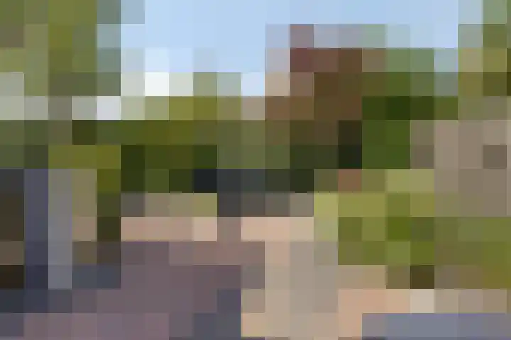 Arnold van Lieropstraat 15 Steenbergen thumbnail 36