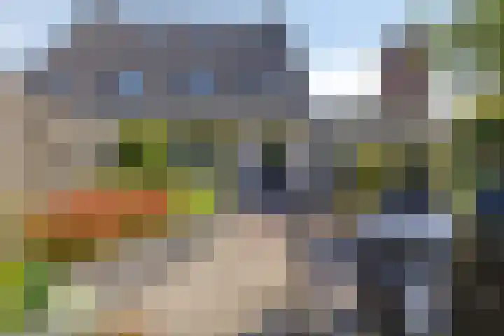 Arnold van Lieropstraat 15 Steenbergen thumbnail 37