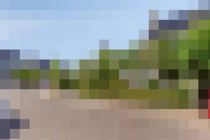 Arnold van Lieropstraat 15 Steenbergen thumbnail 46